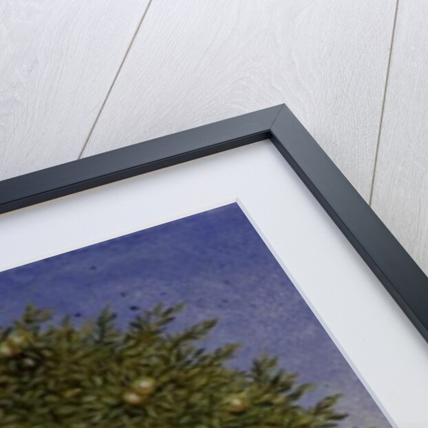 Right Hand Orchard Pig by Ditz Ditz