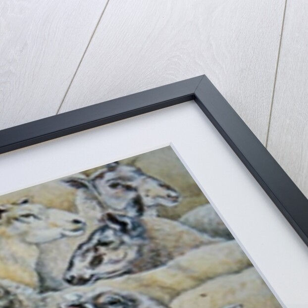 Sheep-Blanket by Ditz Ditz