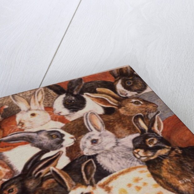 Rabbit-Spread by Ditz Ditz