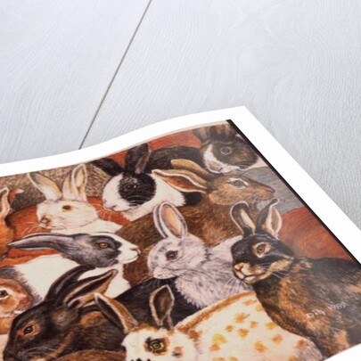 Rabbit-Spread by Ditz Ditz