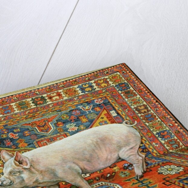 Singleton Carpet Pig by Ditz Ditz
