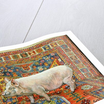 Singleton Carpet Pig by Ditz Ditz