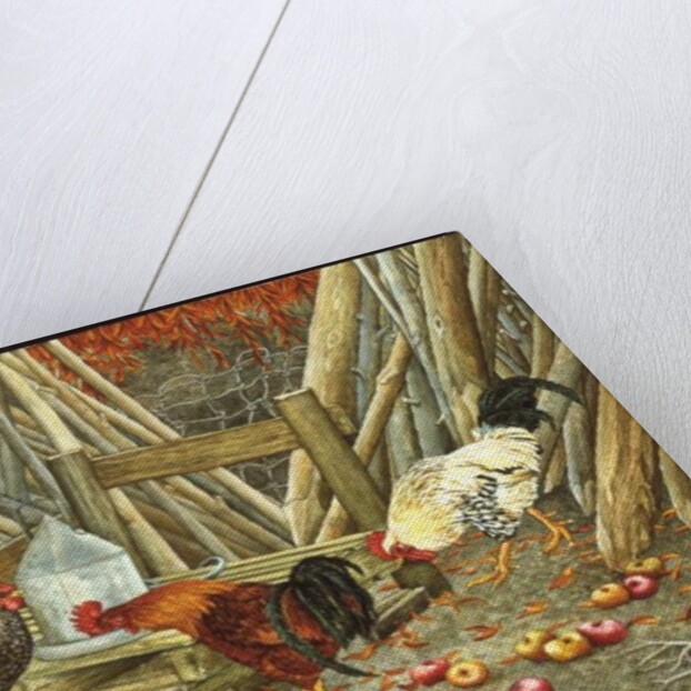 Chicken Feed by Ditz Ditz