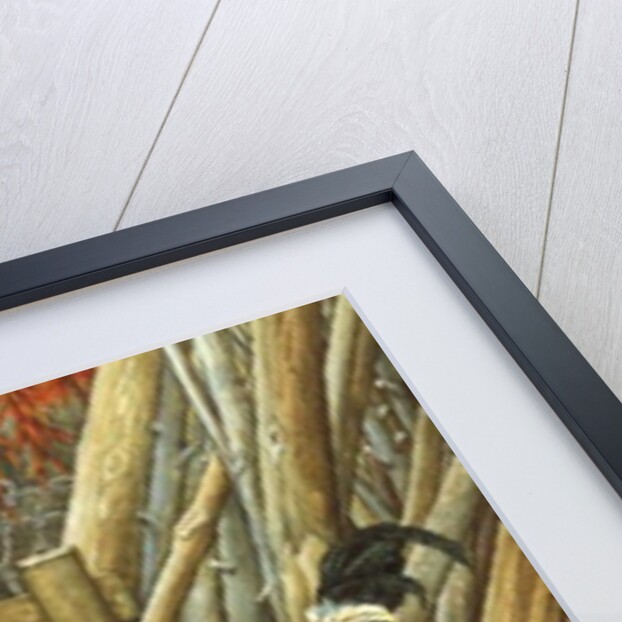 Chicken Feed by Ditz Ditz