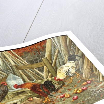 Chicken Feed by Ditz Ditz