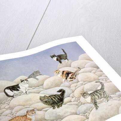Lynn Valley Cats by Ditz Ditz