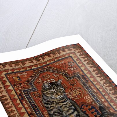 The Carpet-Cat by Ditz Ditz
