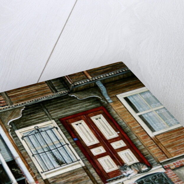 The Ottoman Cat by Ditz Ditz