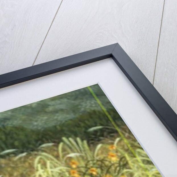 The Owl and the Pussycats by Ditz Ditz