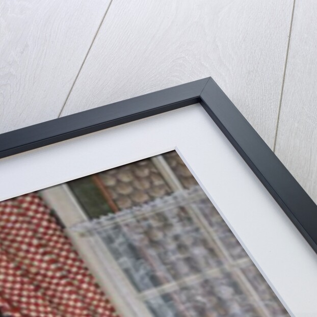 The Fowl and The Pussycats by Ditz Ditz