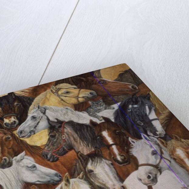 Dee's Horse-Blanket by Ditz Ditz