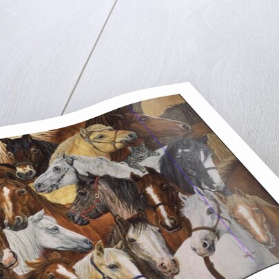 Dee's Horse-Blanket by Ditz Ditz