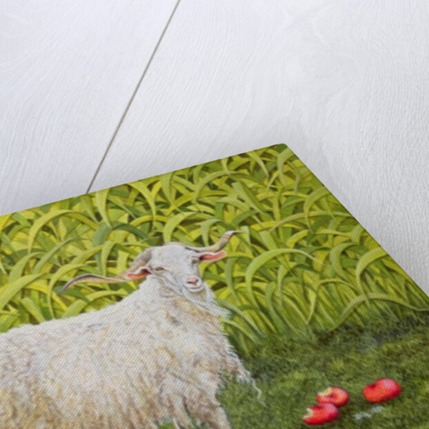 Alan's Goat by Ditz Ditz