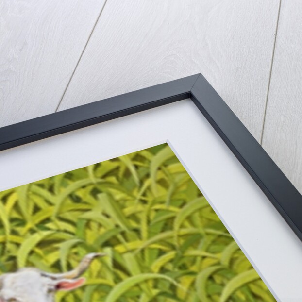 Alan's Goat by Ditz Ditz