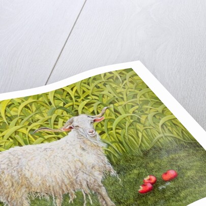 Alan's Goat by Ditz Ditz