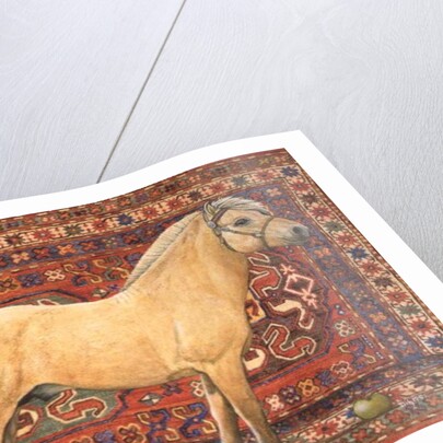 The Carpet Horse by Ditz Ditz