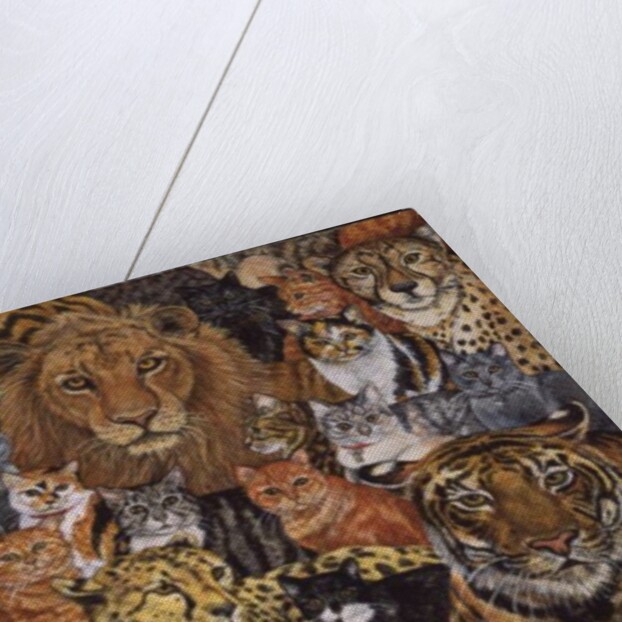 Semi Wild Cat Spread by Ditz Ditz