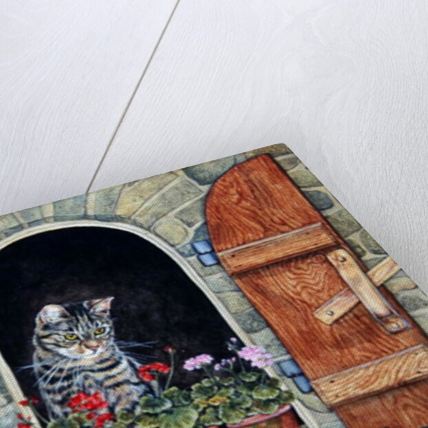 Susie's Window by Ditz Ditz