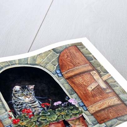 Susie's Window by Ditz Ditz