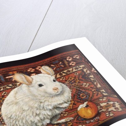 The Carpet-Chinchilla, 1992 by Ditz Ditz