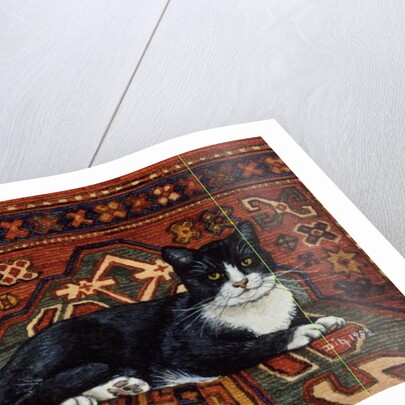 Second Carpet-Cat-Patch, 1992 by Ditz Ditz