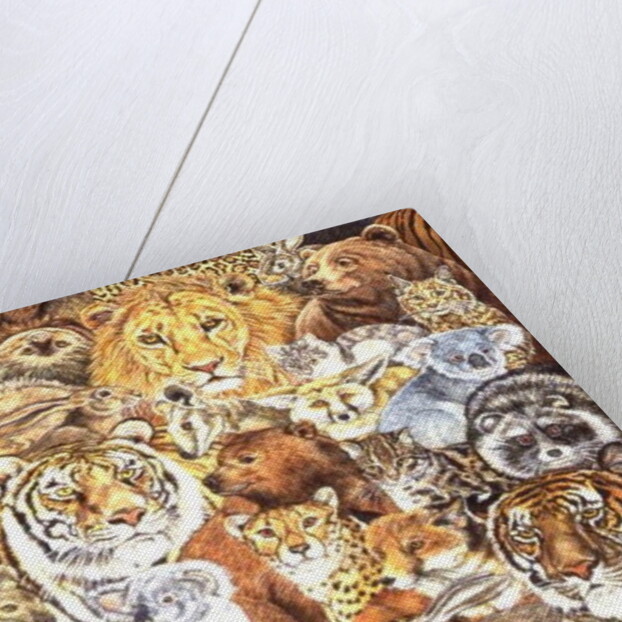 The Wild Bunch by Ditz Ditz