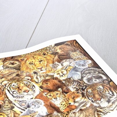 The Wild Bunch by Ditz Ditz