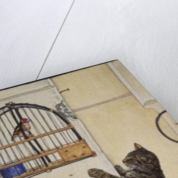 The Essuaira-Bird by Ditz Ditz