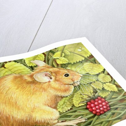 The Raspberry-Mouse by Ditz Ditz