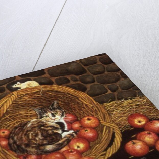 The Basket-Mouse by Ditz Ditz