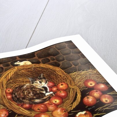 The Basket-Mouse by Ditz Ditz