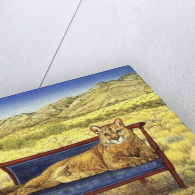 Millers' Mountain-Lion by Ditz Ditz