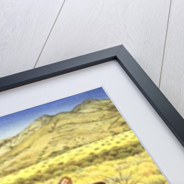 Millers' Mountain-Lion by Ditz Ditz