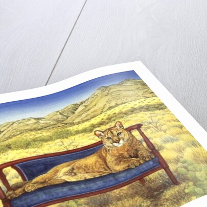 Millers' Mountain-Lion by Ditz Ditz