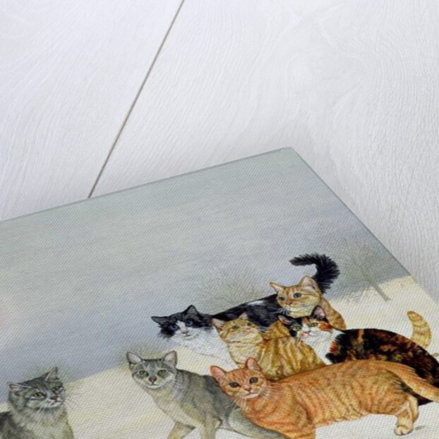 Winter-Cats by Ditz Ditz