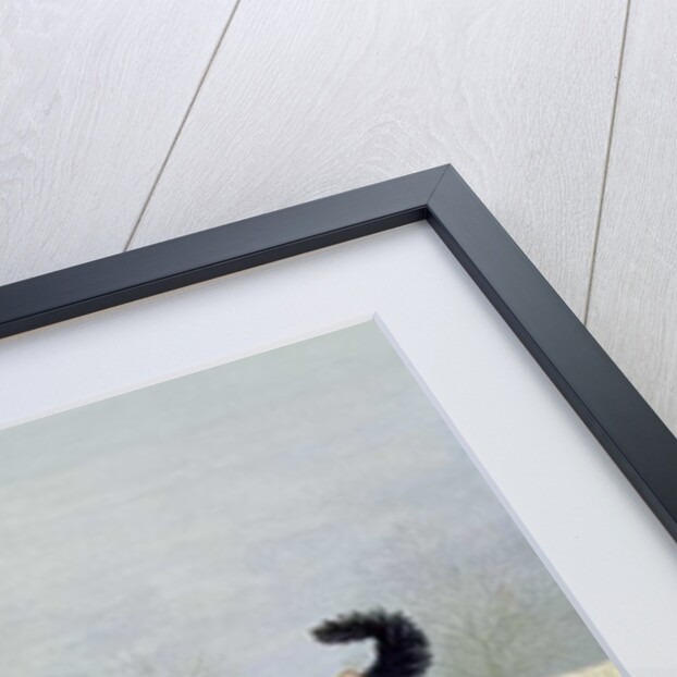 Winter-Cats by Ditz Ditz