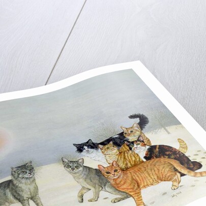 Winter-Cats by Ditz Ditz