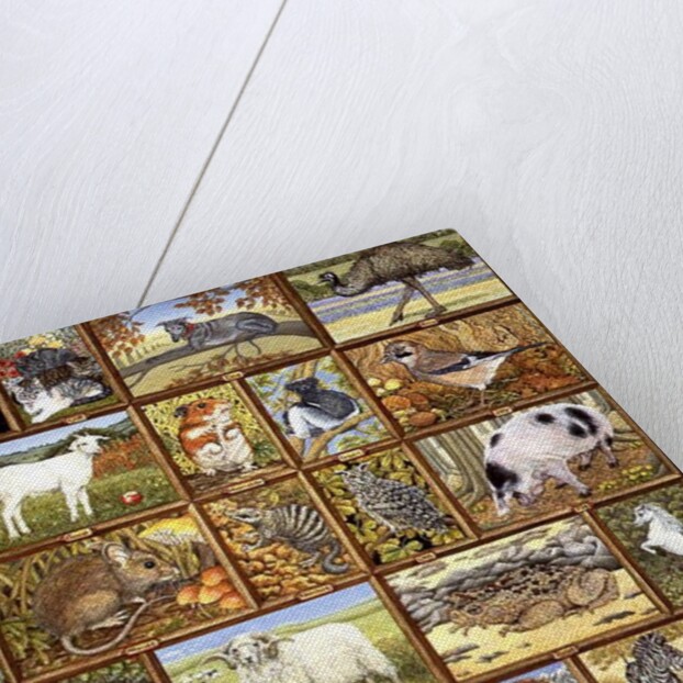 Alphabetical Animals by Ditz Ditz