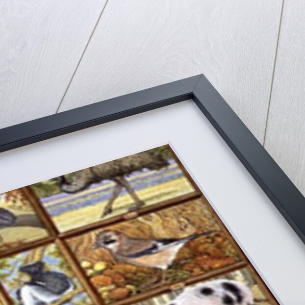 Alphabetical Animals by Ditz Ditz