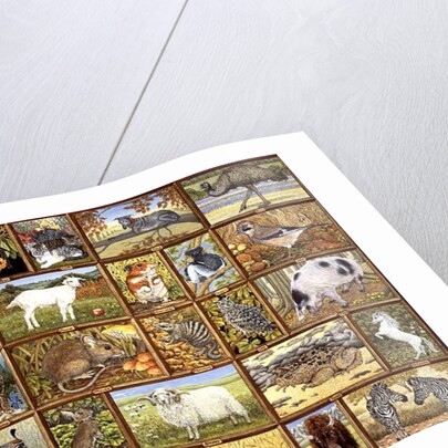 Alphabetical Animals by Ditz Ditz