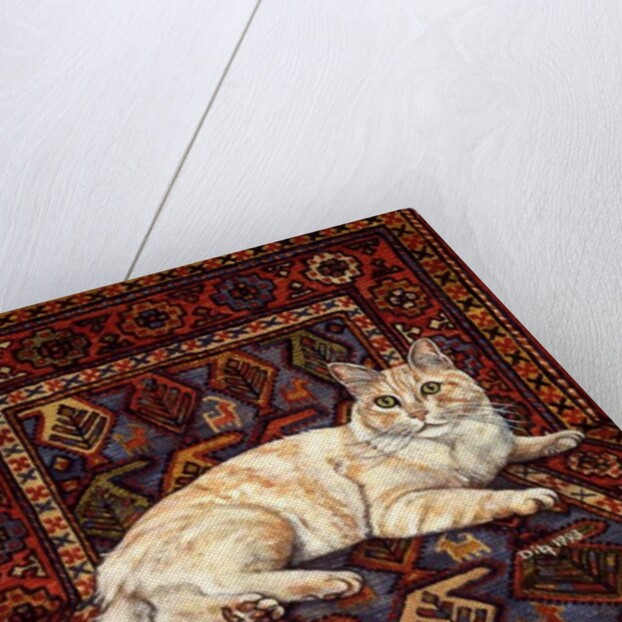 Shortcake, 1993 by Ditz Ditz