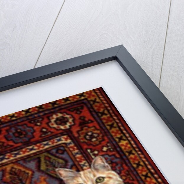 Shortcake, 1993 by Ditz Ditz