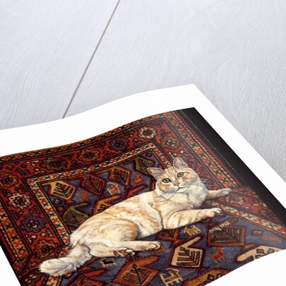 Shortcake, 1993 by Ditz Ditz