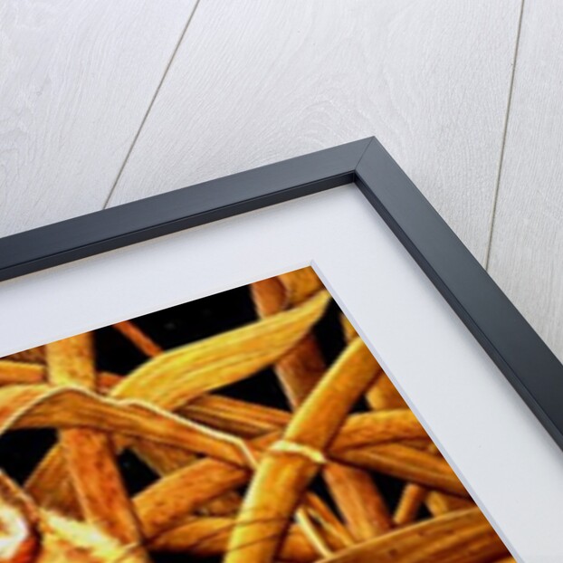 Edible Dormouse, 1993 by Ditz Ditz