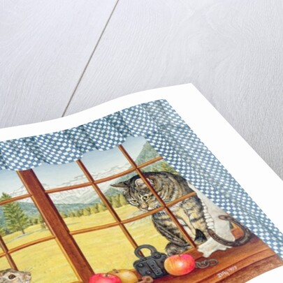 Rimrock Cottontail, 1993 by Ditz Ditz