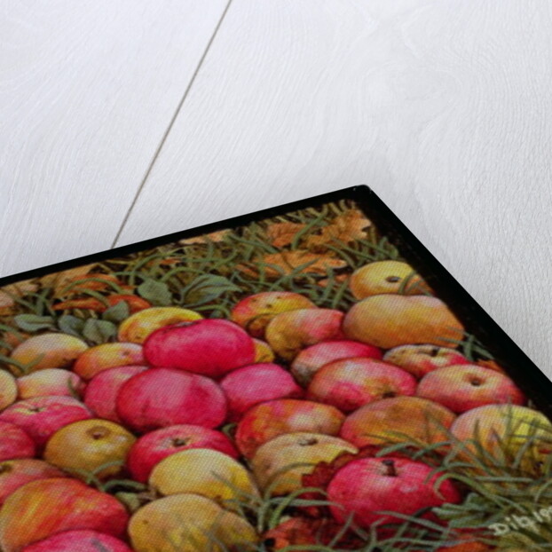 Durnitzhofer Apples, 1993 by Ditz Ditz