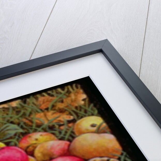 Durnitzhofer Apples, 1993 by Ditz Ditz