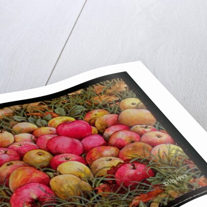 Durnitzhofer Apples, 1993 by Ditz Ditz