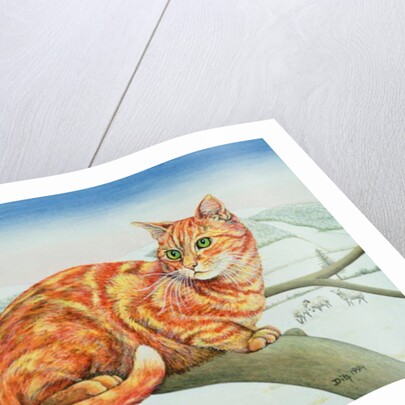 Bare Branches, No.1, 1994 by Ditz Ditz