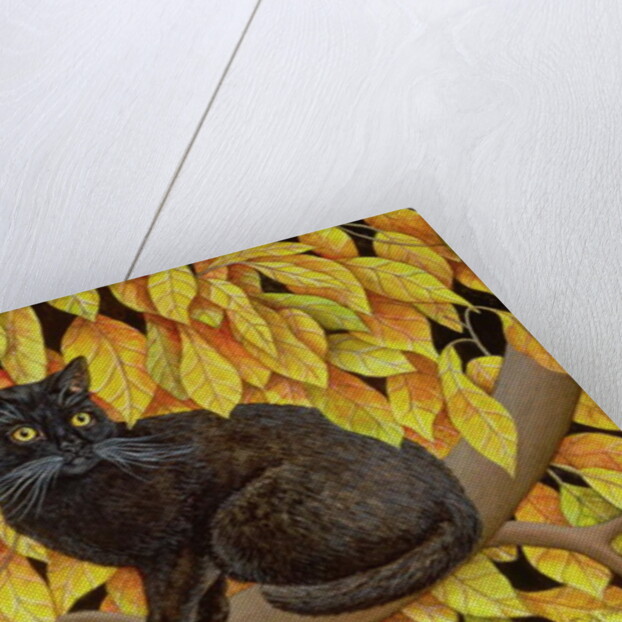 Autumn Leaves, 1994 by Ditz Ditz